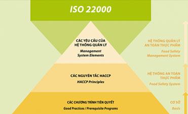Xin giấy chứng nhận ISO 22000
