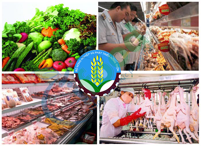 Dịch vụ xin Giấy chứng nhận An toàn thực phẩm Bộ nông nghiệp cấp - EVERESTLAW